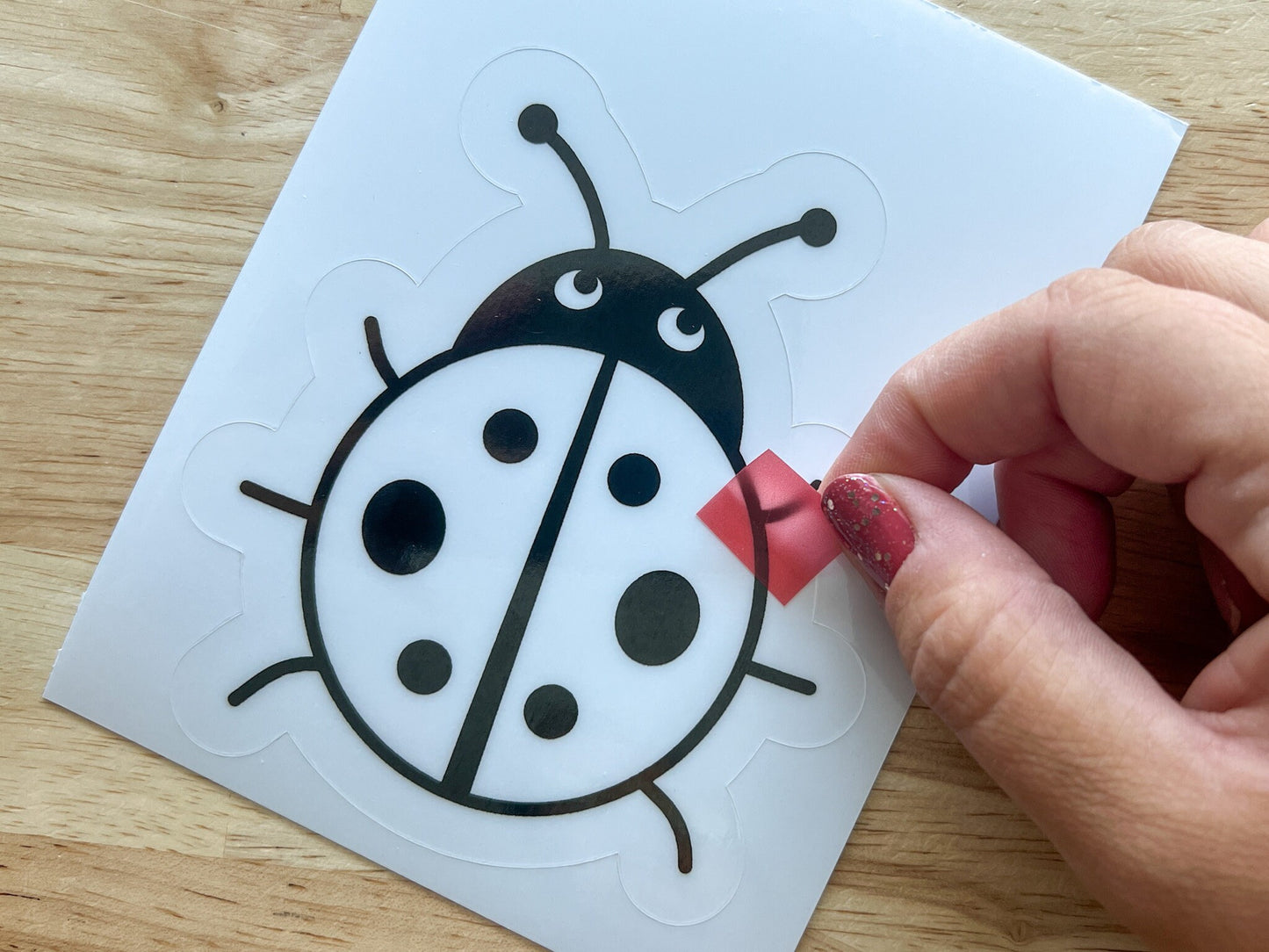 Ladybug Suncatcher Sticker Craft Kit