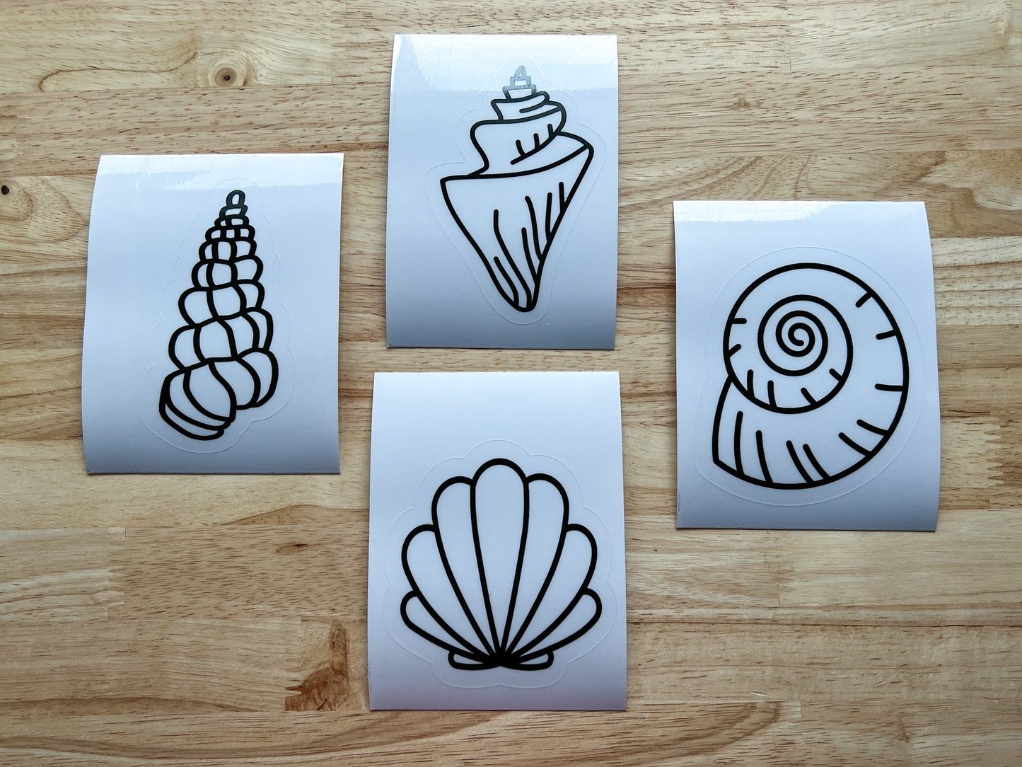 Seashell Suncatcher Sticker Craft Kit, Set of 4