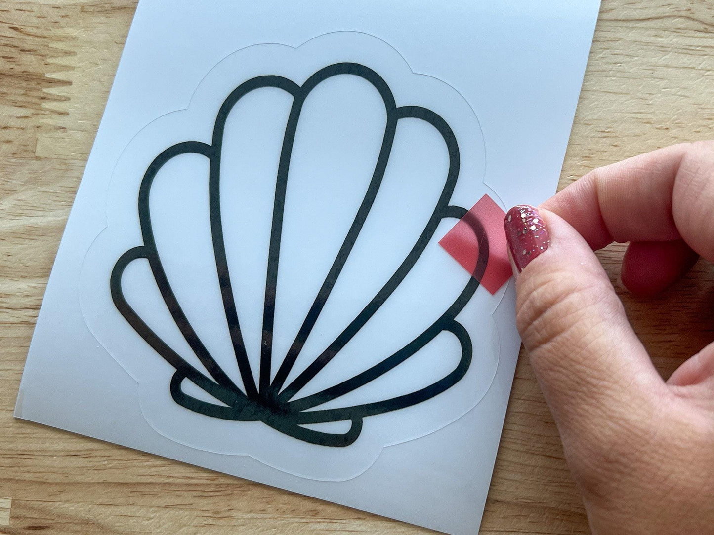 Seashell Suncatcher Sticker Craft Kit